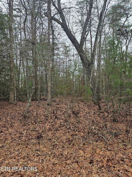 Undeveloped Land for sale in Cumberland County, Tennessee