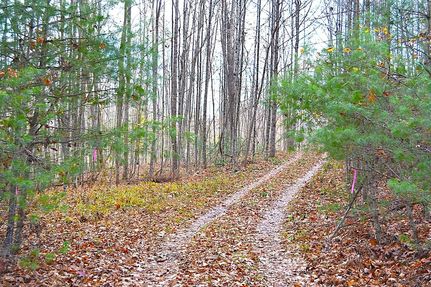 Undeveloped Land for sale in Summers County, West Virginia