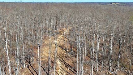 Undeveloped Land for sale in Dickson County, Tennessee