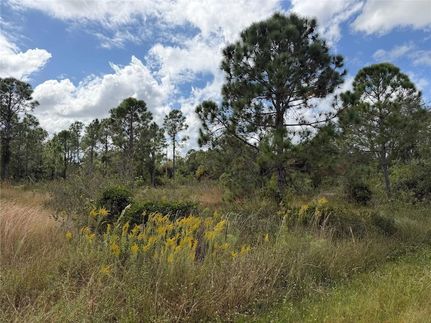 Undeveloped Land for sale in Charlotte County, Florida