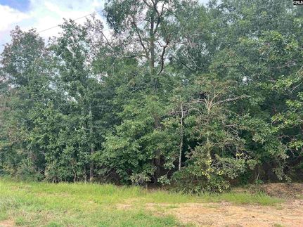 Undeveloped Land for sale in Lexington County, South Carolina