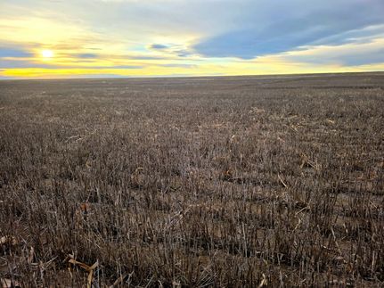 Property for sale in Yuma County, Colorado