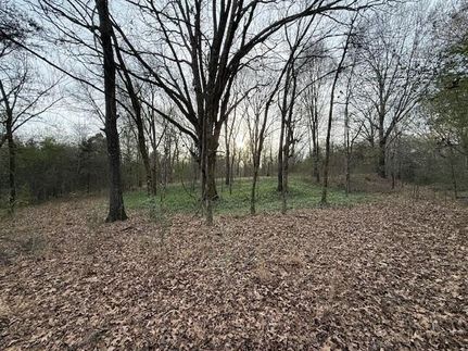 Property for sale in Fayette County, Tennessee