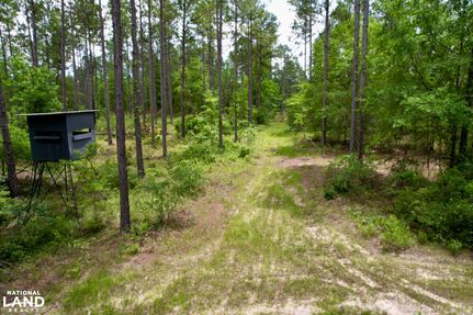 Ranch Property for sale in Dodge County, Georgia