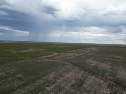 Farm Property for sale in Kiowa County, Colorado