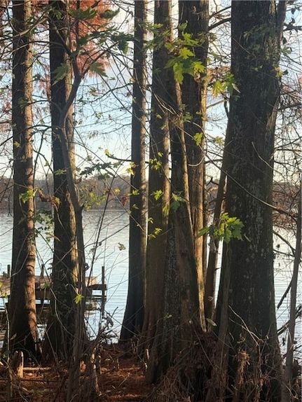 Property for sale in Pope County, Arkansas