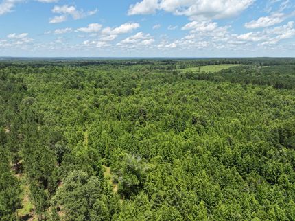 Recreational Property in Harrison County, Texas