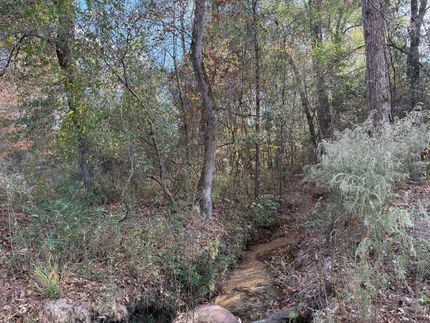 Timberland Property for sale in Macon County, Georgia