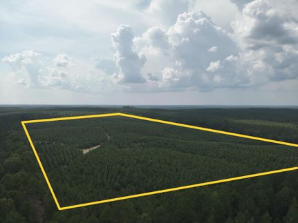 Undeveloped Land for sale in Dallas County, Arkansas