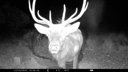 Ranch Property for sale in Edwards County, Texas