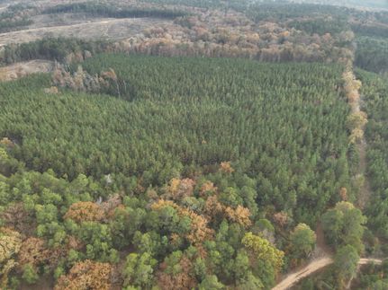 Timberland Property for sale in Ouachita County, Arkansas