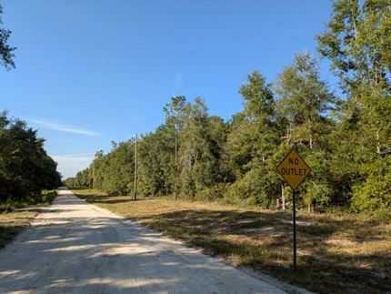Recreational Property for sale in Suwannee County, Florida