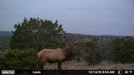 Ranch Property for sale in Edwards County, Texas