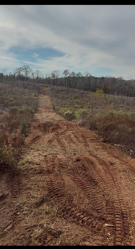 Recreational Property for sale in Marengo County, Alabama