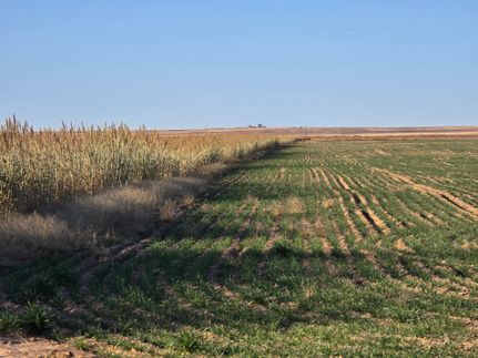 Horse Property for sale in Kiowa County, Colorado