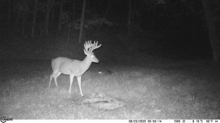 Recreational Property for sale in Lewis County, Kentucky