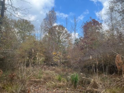 Timberland Property for sale in Union County, Arkansas