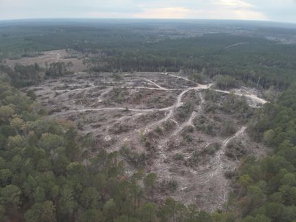 Farm Property for sale in Union County, Arkansas