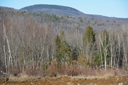 Ranch Property for sale in Oxford County, Maine