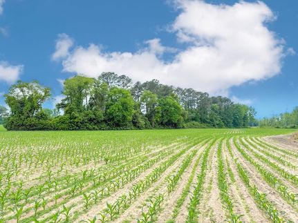 Farm Property for sale in Marlboro County, South Carolina