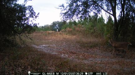 Recreational Property for sale in Decatur County, Georgia