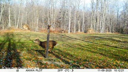 Farm Property for sale in Marathon County, Wisconsin