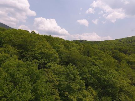 Farm Property for sale in Caledonia County, Vermont