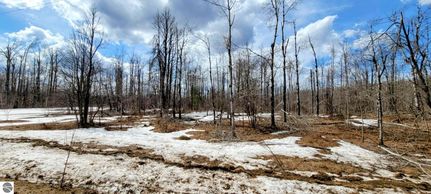 Property for sale in Antrim County, Michigan