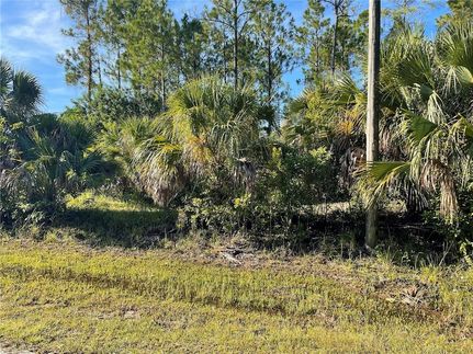 Farm Property for sale in Lee County, Florida