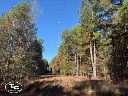 Hunting Land for sale in Lamar County, Alabama