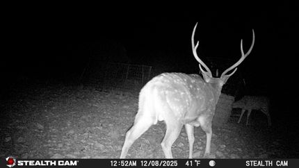 Hunting Land for sale in Edwards County, Texas