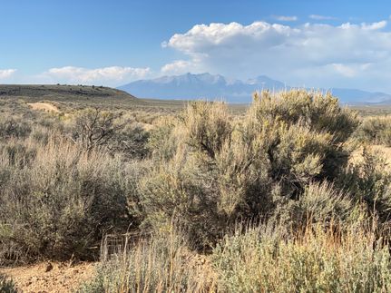 Property for sale in Costilla County, Colorado