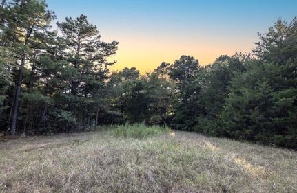 Undeveloped Land for sale in Le Flore County, Oklahoma