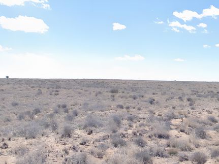 Undeveloped Land for sale in Socorro County, New Mexico