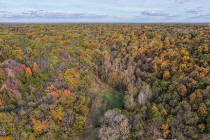 Hunting Land for sale in Jersey County, Illinois