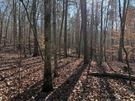 Ranch Property for sale in DeKalb County, Alabama