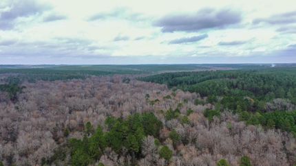 Property for sale in Cass County, Texas