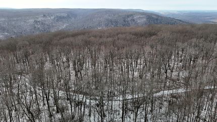 Recreational Property for sale in Tioga County, Pennsylvania