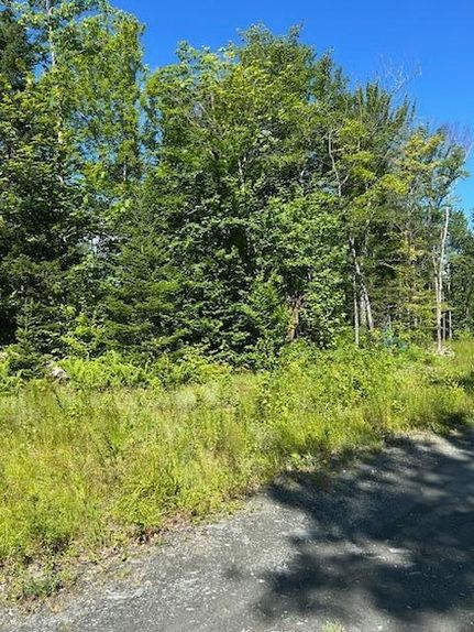 Residential Property for sale in Piscataquis County, Maine