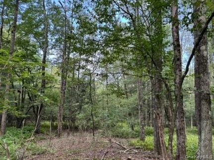 Farm Property for sale in Sullivan County, New York