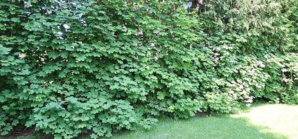 Ranch Property for sale in Kennebec County, Maine