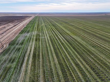 Hunting Land for sale in Stanley County, South Dakota