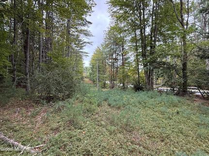 Farm Property for sale in Warren County, New York