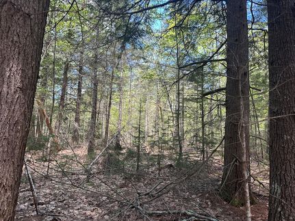 Recreational Property for sale in Lincoln County, Maine