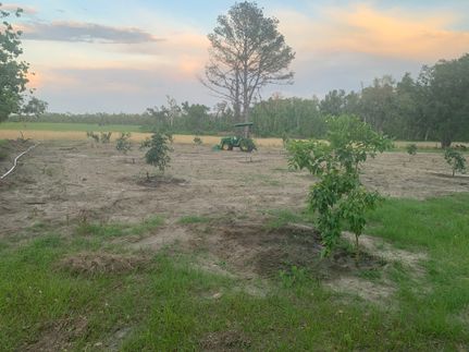 Hunting Land for sale in Madison County, Florida