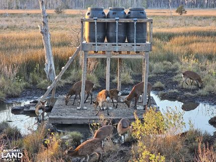 Farm Property in Dorchester County, Maryland