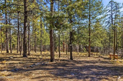 Ranch Property for sale in Apache County, Arizona