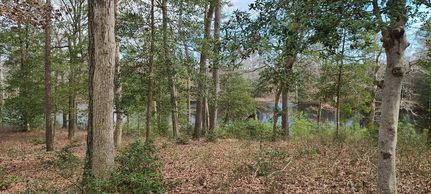 Farm Property for sale in Accomack County, Virginia