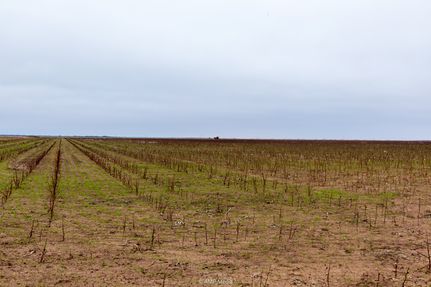 Ranch Property for sale in Haskell County, Texas