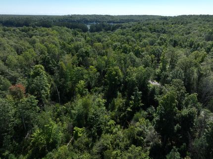 Timberland Property for sale in Langlade County, Wisconsin